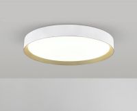 גוף תאורה צמוד תקרה ניקי 65