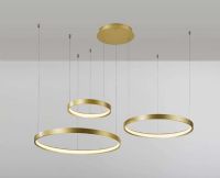 גוף תאורה תלוי גירו 300