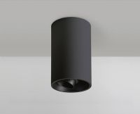 גוף תאורה צמוד תקרה טנגו ADJ